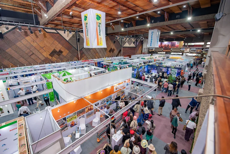 Image: DLP Expo 2024