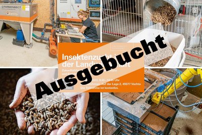 Insektenzucht in der Landwirtschaft – Chancen und Risiken