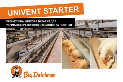 UNIVENTStarter - Повна адаптація під потреби добових курчат і молодняку UNIVENTStarter - Повна адаптація під потреби добових курчат і молодняку