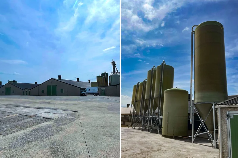 Broiler house with silos 