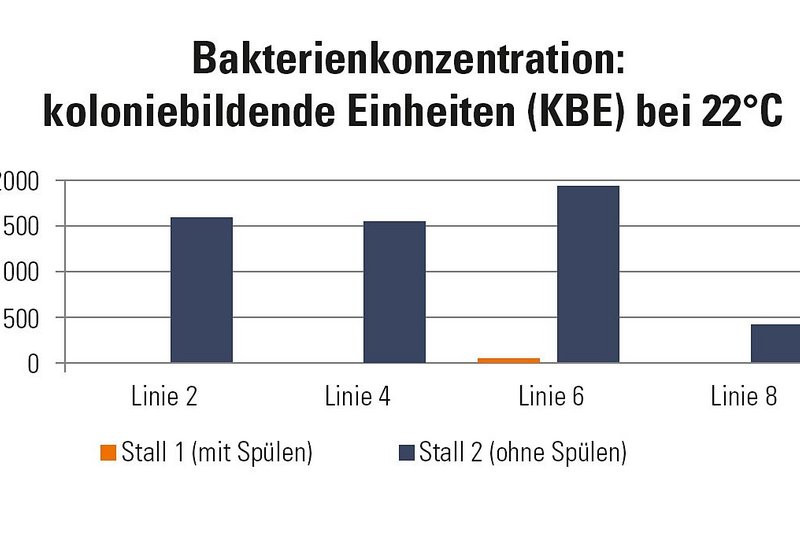 Balkendiagramm: Ergebnisse bakteriologische Untersuchung in Hähnchenmast 