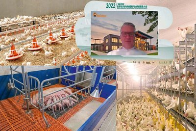 Market insights and technologies in the field of welfare farming of laying hens, broilers and pigs