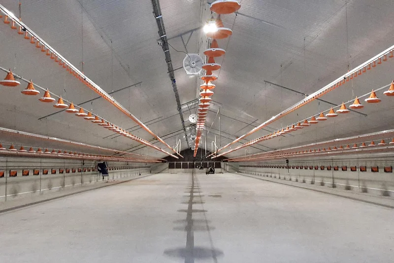 Le nouveau bâtiment pour l’engraissement de poulets de chair avant la mise en service Le nouveau bâtiment pour l’engraissement de poulets de chair avant la mise en service
