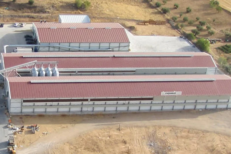 Impressive and new poultry houses for egg production with enriched colony systems