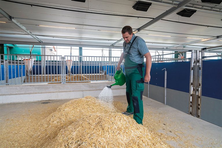 Farmer with watering can and a pile of straw bedding