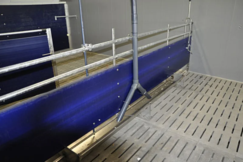 Blick in Stall, der mit Equipment für die Ferkelaufzucht und Schweinemast ausgerüstet ist Blick in Stall, der mit Equipment für die Ferkelaufzucht und Schweinemast ausgerüstet ist