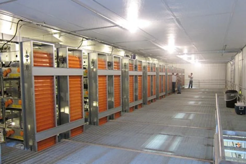 USA: Enriched colony system for housing of 150,000 hens USA: Enriched colony system for housing of 150,000 hens