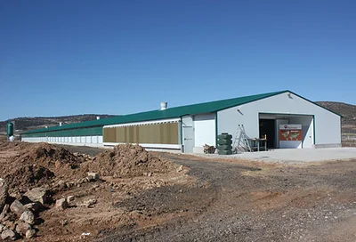 Una nueva granja avícola para el engorde de pollos Una nueva granja avícola para el engorde de pollos