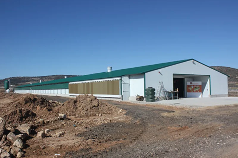 Una nueva granja avícola para el engorde de pollos Una nueva granja avícola para el engorde de pollos