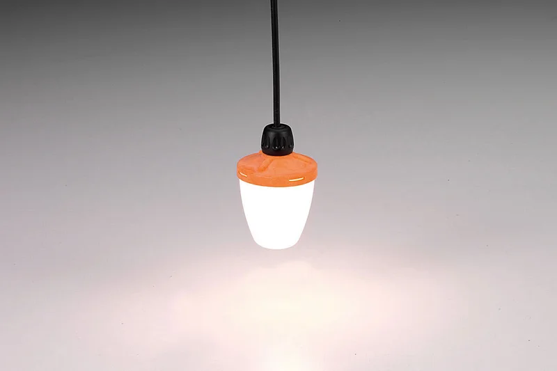 Stalverlichting: Professionele oplossingen voor de pluimveesector Stalverlichting: Professionele oplossingen voor de pluimveesector