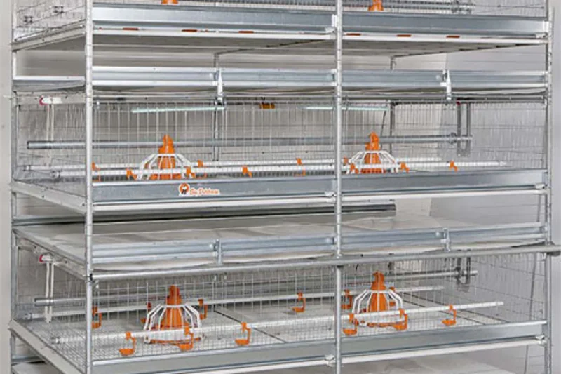 Big Dutchman innovations for successful poultry production Big Dutchman innovations for successful poultry production