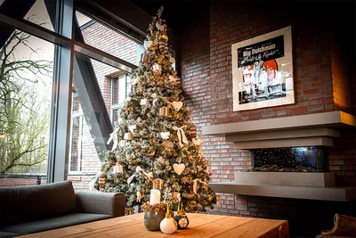 Christmas tree Christmas tree