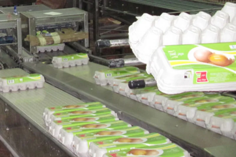 From the enriched colony systems into the cartons 