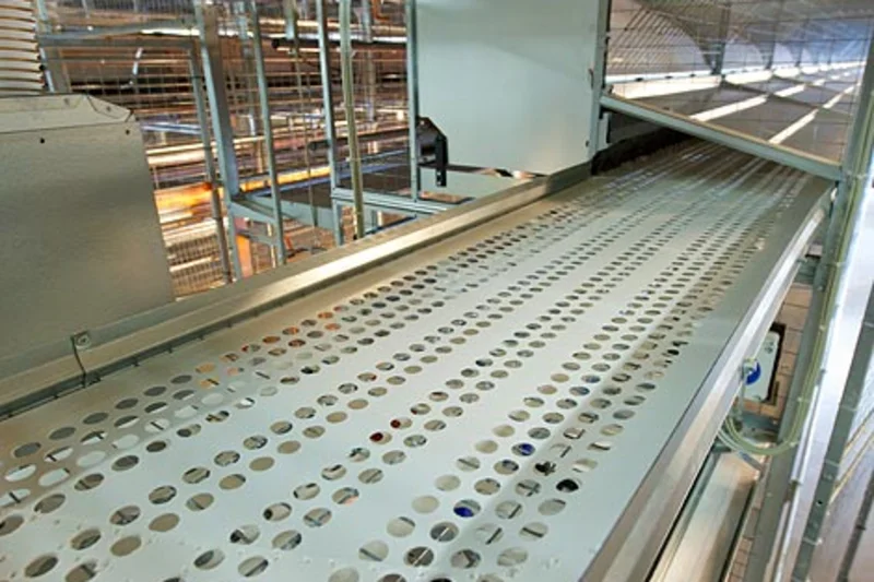Customized poultry equipment - the egg belt Customized poultry equipment