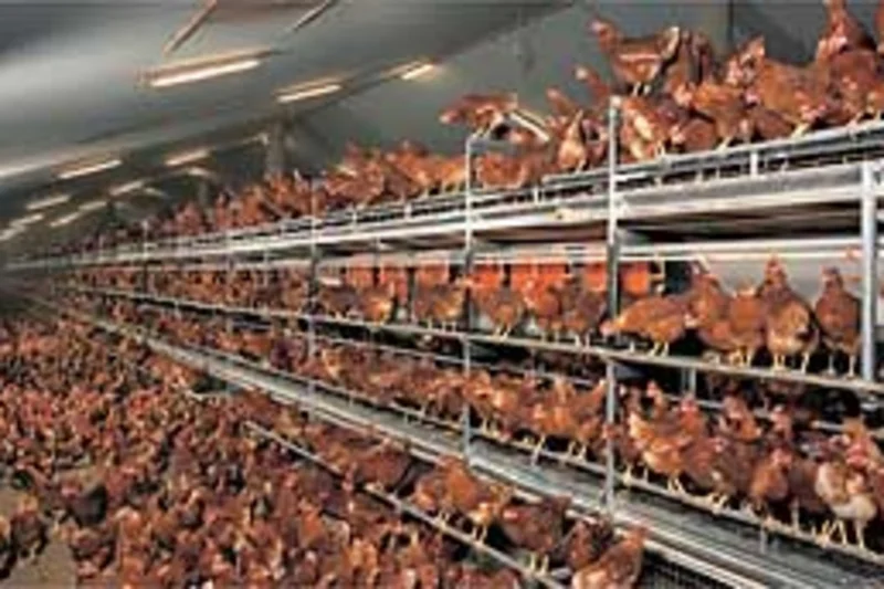 New brochure on poultry systems New brochure on poultry systems