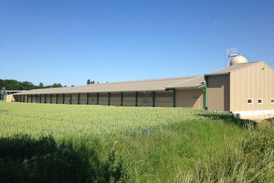 Exterior view of the house for free range egg production
