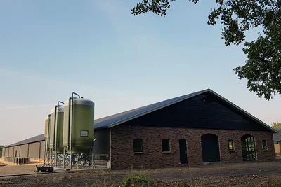 Nieuwe stal voor 12.000 biologische legehennen Nieuwe stal voor 12.000 biologische legehennen