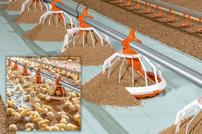 From cages to aviaries: practical solutions for poultry house renovations FLUXX 330 feed pan