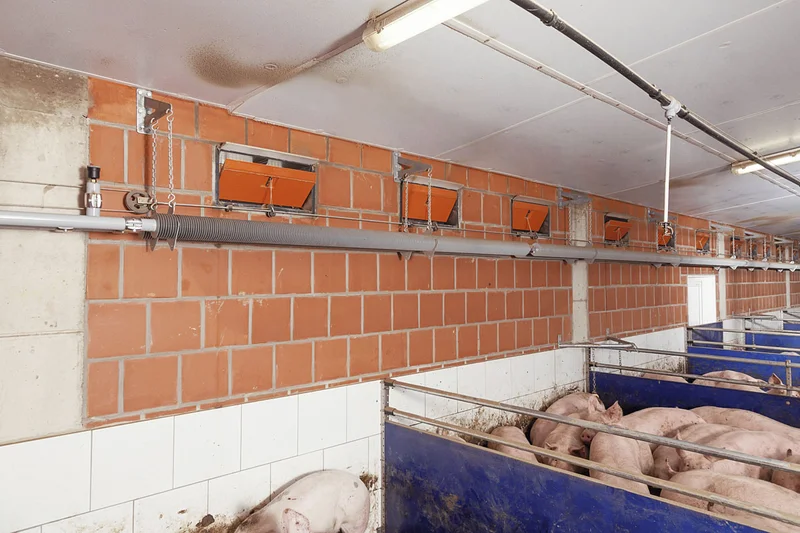 Maststall mit Zuluftventilen in der Wand, Sprühkühlungsrohr und Heizung Maststall mit Zuluftventilen in der Wand, Sprühkühlungsrohr und Heizung