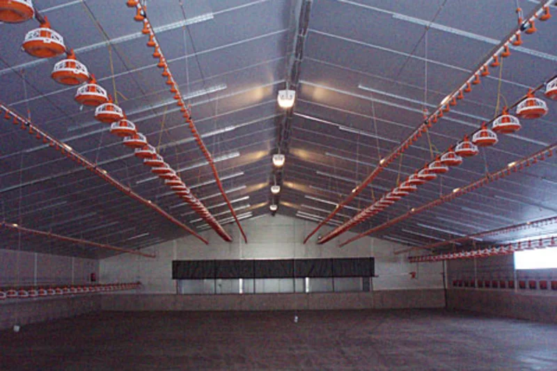 New farm enterprise with poultry sheds for 84,000 birds New farm enterprise with poultry sheds for 84,000 birds