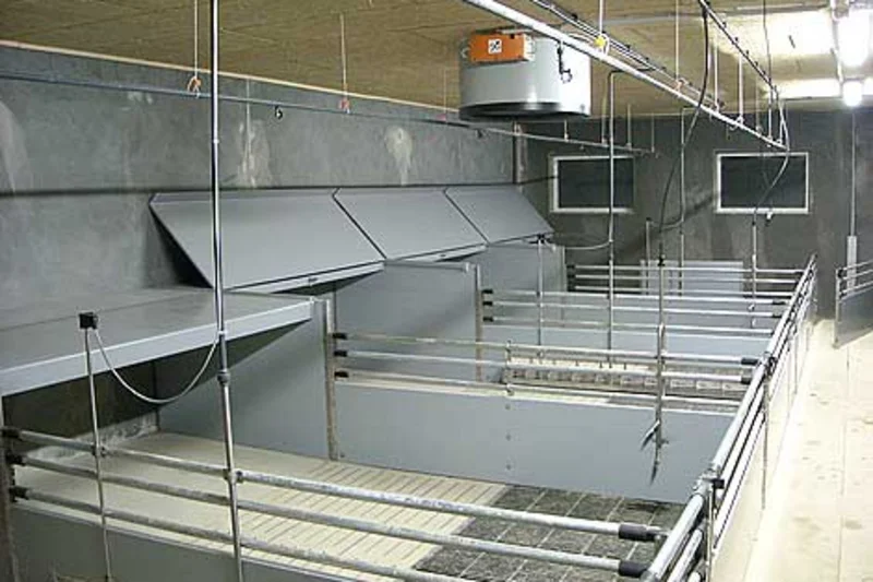 Stallanlage in nur vier Monaten erweitert Stallanlage in nur vier Monaten erweitert