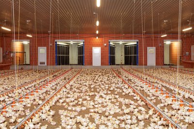 Очищувач відпрацьованого повітря