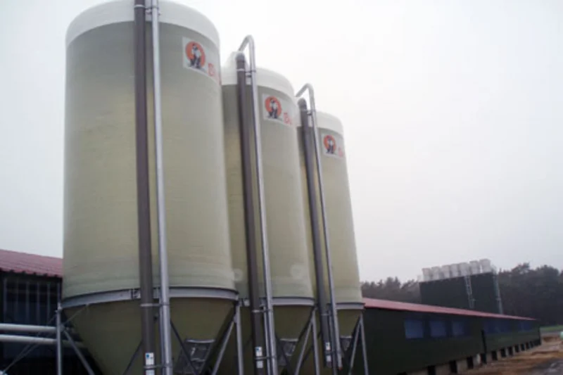 Poultry growing in new house equipped with Big Dutchman poultry systems