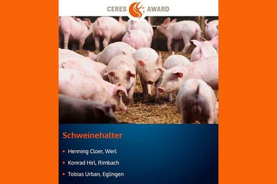 Schweinehaltung | Schweine auf Stroh 