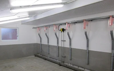 Fütterungsanlagen in Sauenarena Fütterungsanlagen in Sauenarena