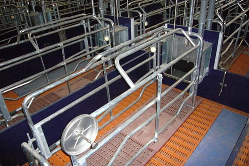 Attrezzature per la gestione delle scrofe: Sala parto