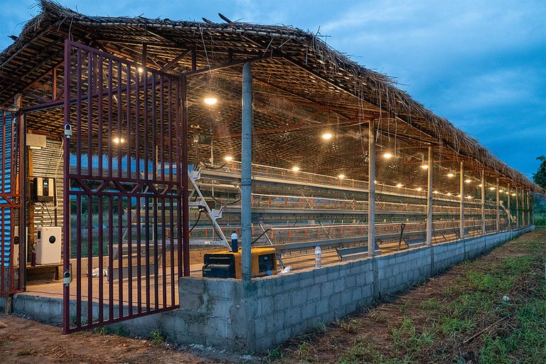 Der erste von vier Stallneubauten ist fertig Der erste von vier Stallneubauten ist fertig