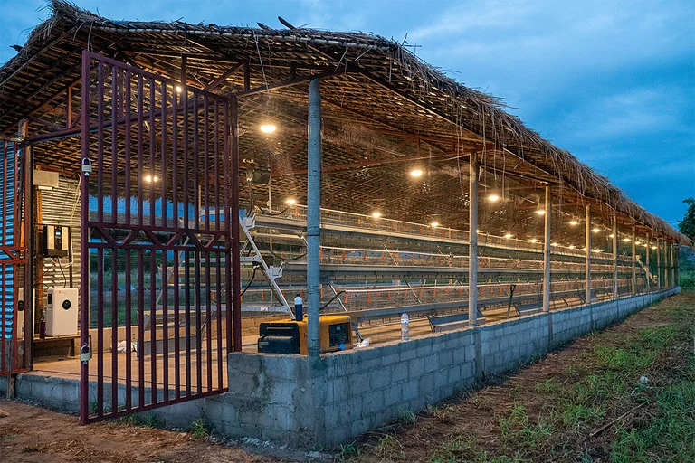 The first of four new poultry houses is complete. The first of four new poultry houses is complete.