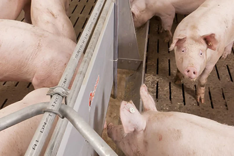 LevelCheck determines the capacitive level in the trough accurately to the last millimetre