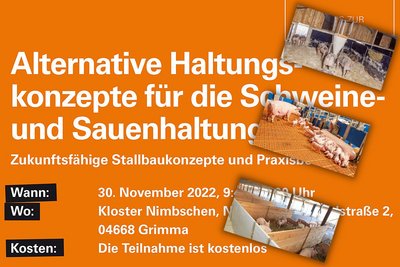 Alternative Haltungskonzepte für die Sauenhaltung und Schweinemast 