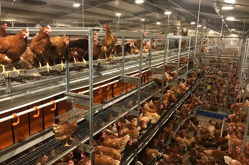 “Excellent production results and simple operation speak for Natura Step”