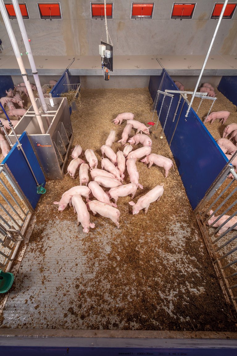 Schweinebucht aus Vogelperspektive