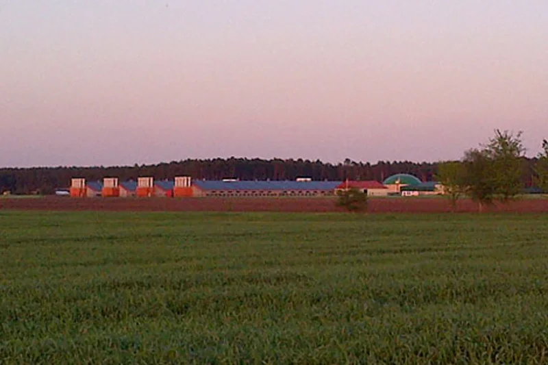 Four new houses for poultry growing with the most modern poultry systems