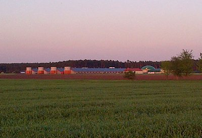 Cuatro naves de nueva construcción para el engorde de aves con equipamiento avícola moderno