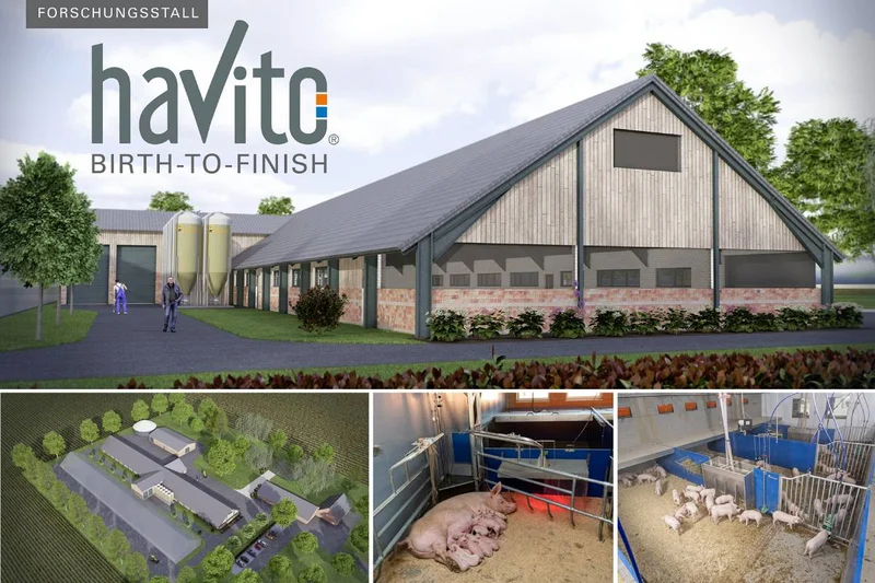 BRÖRING e Big Dutchman partono con “Havito: il capannone del benessere con pavimento pieno”
