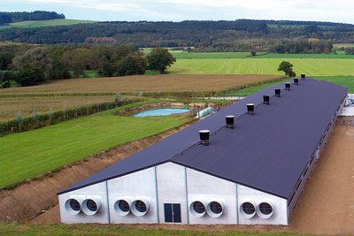 Poultry house