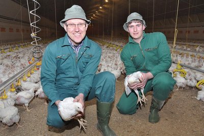 Geflügelstall für die Hähnchenmast 