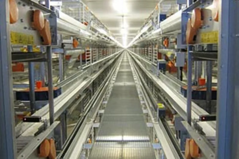 USA: Enriched colony system for housing of 150,000 hens USA: Enriched colony system for housing of 150,000 hens