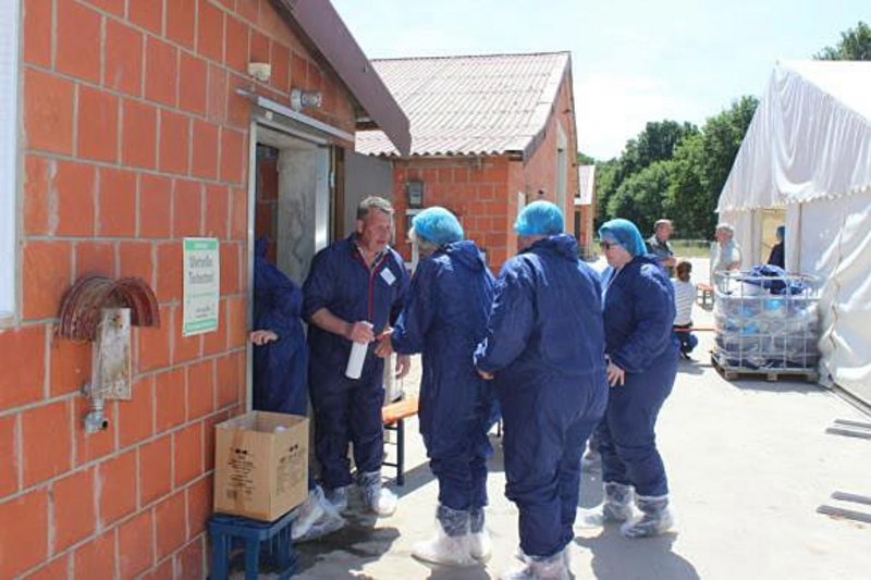 Besucher betreten den Stall in Schutzkleidung