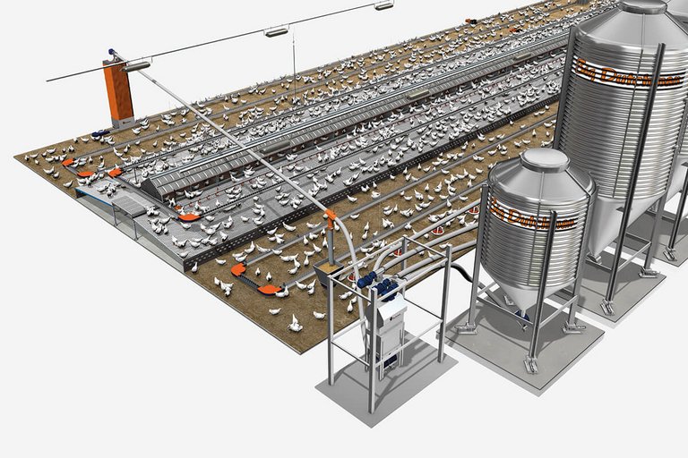 Poultry house concepts Poultry house concepts