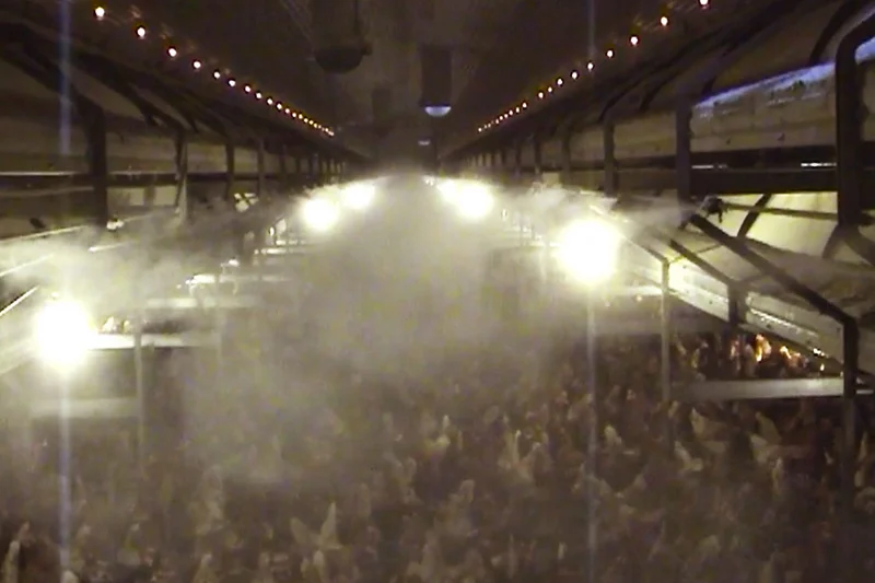 Water mist above the house floor