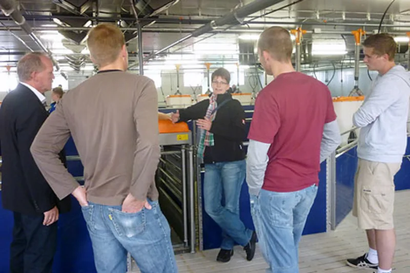 New pig house including pig equipment for 1,376 animal places 