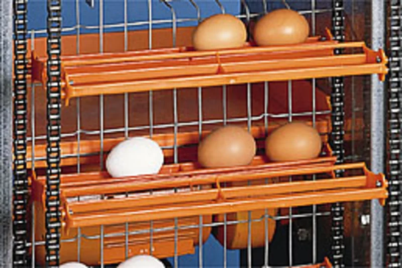 Live event - all about eggs from Big Dutchman systems
