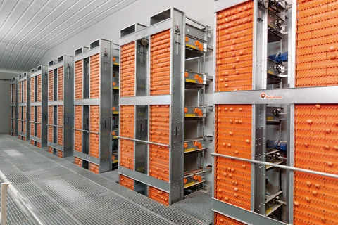 Egg collection systems