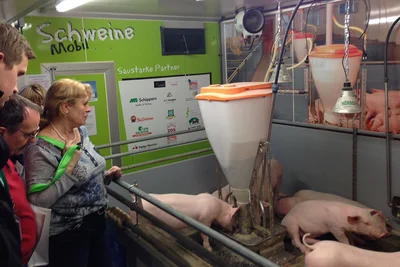 Schweinemobil mit Ferkeln Schweinemobil mit Ferkeln