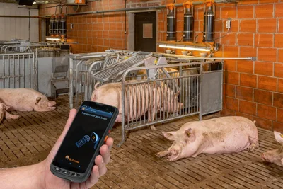 Contrôle mobile : avec l'appli MySow, les éleveurs gardent toujours un œil sur leurs bâtiments Smartphone avec l'appli ouverte